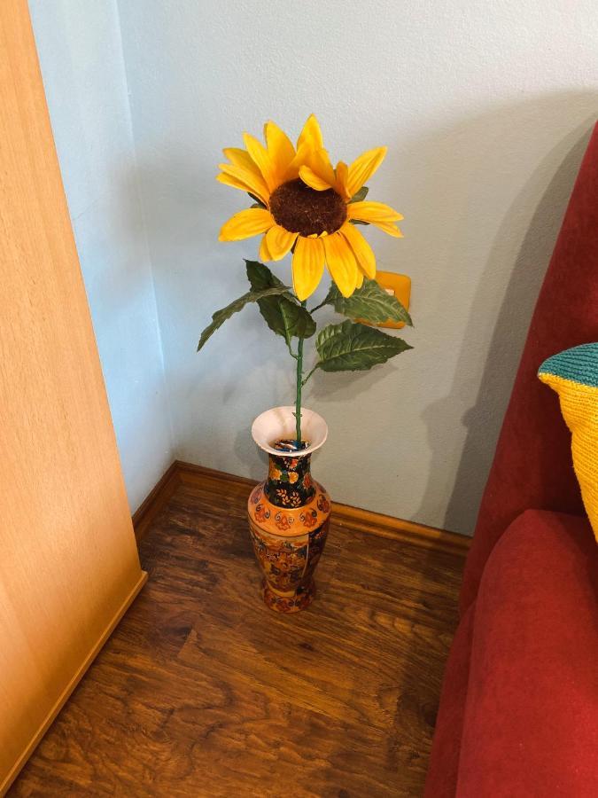 Apartment David Trsce エクステリア 写真